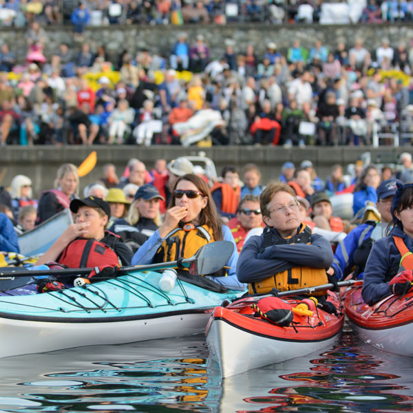 Victoria Symphony Splash kayaks in the harbour 2015